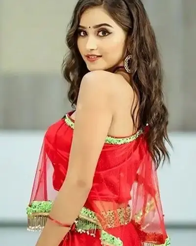 Escort In R.K. Puram